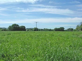 American pilots landed light aircraft in this field when they fancied a swim in the river