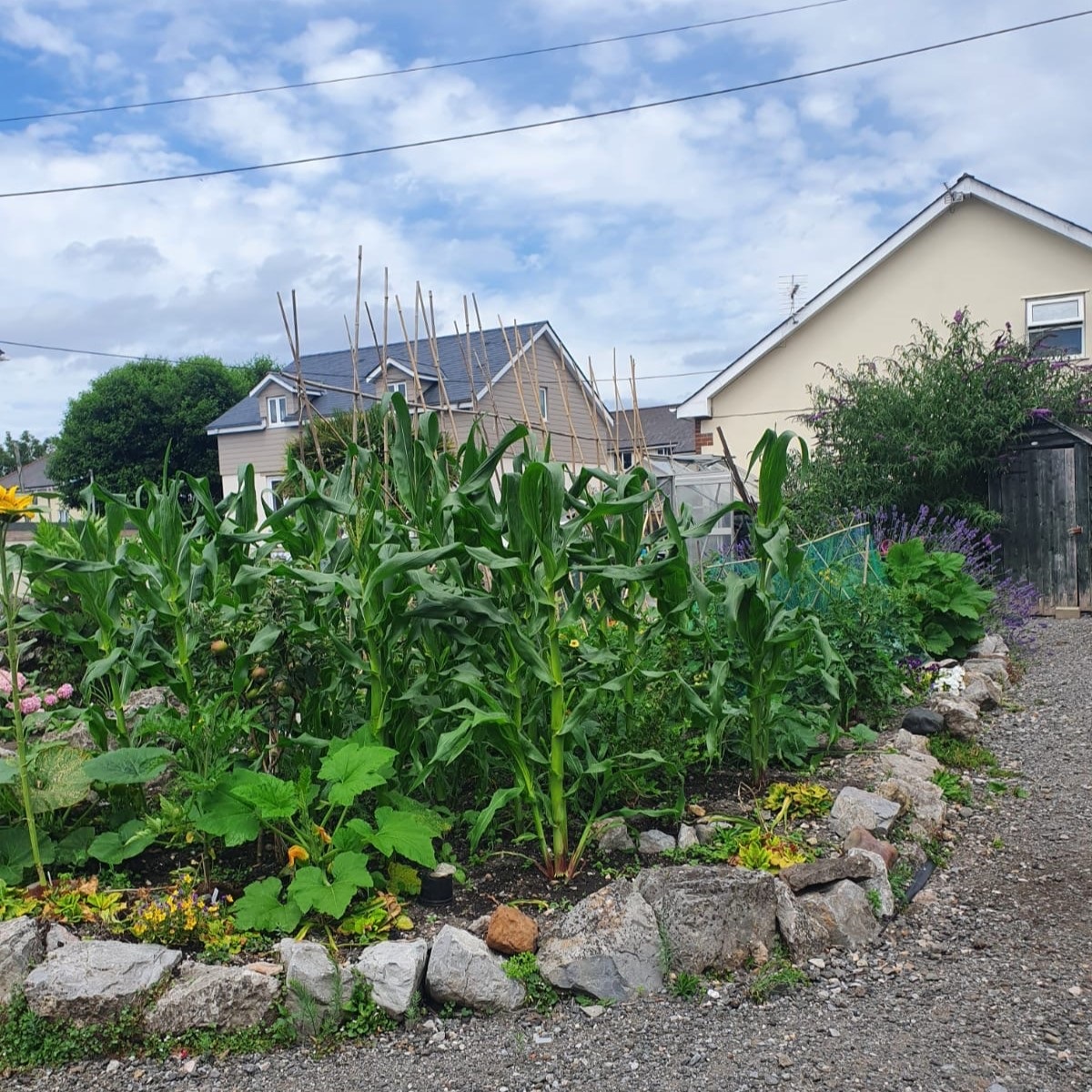 gardening 2